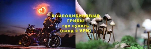 индика Белокуриха